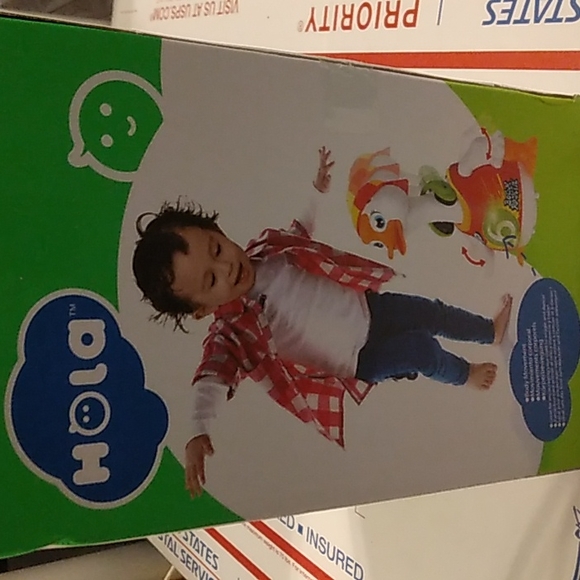 Hola Dancing Rapping Goose - Picture 3 of 4